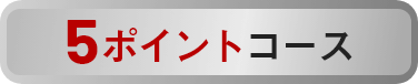 5ポイントコース