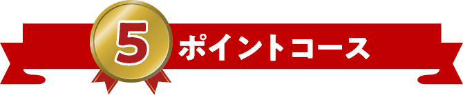 5ポイントコース