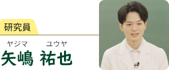 研究員　矢嶋 祐也　ヤジマ ユウヤ