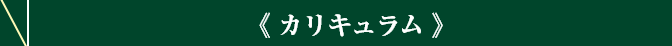 カリキュラム