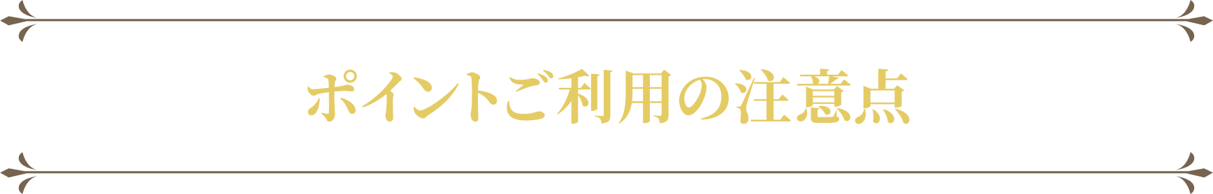 ポイントご利用の注意点